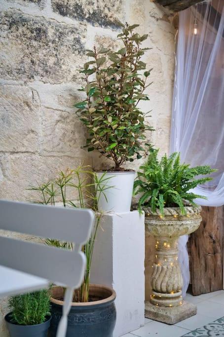 Appartement-Terrasse Centre Historique Uzès Exteriör bild